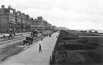 The lawns, Hove, c1900s-c1920s by Unbekannt