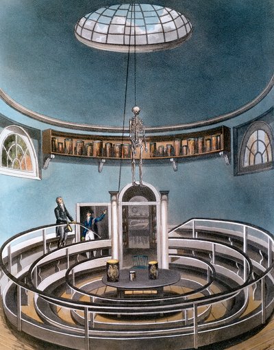 Theatre of Anatomy, Cambridge, 1815 by Unbekannt