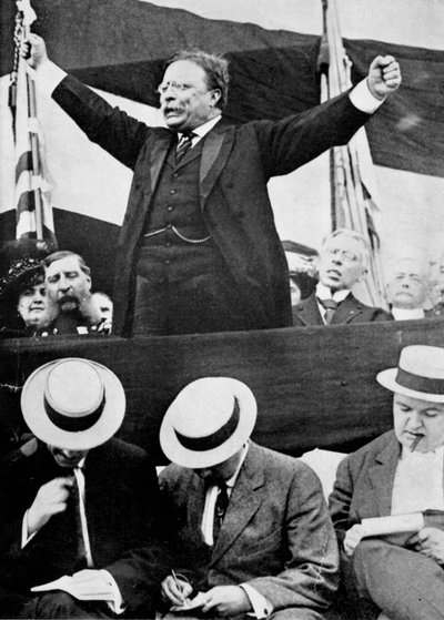 Theodore Roosevelt, American President, 1901-1909 by Unbekannt