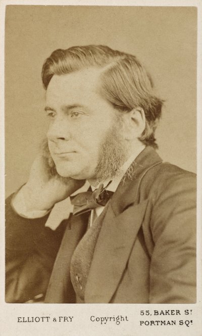 Thomas Henry Huxley, British biologist, c 1865-1886 by Unbekannt