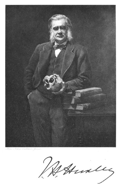 Thomas Henry Huxley, English Biologist by Unbekannt