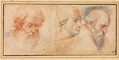 Three Head Studies by Unbekannt