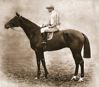 Thunderbolt, 1911 by Unbekannt
