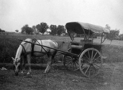 Tonga horse cart, Muttra, India by Unbekannt