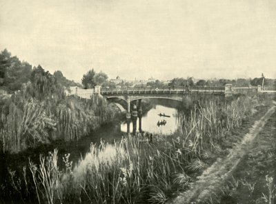 Torrens Lake, Adelaide, 1901 by Unbekannt