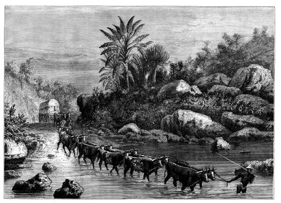 Travelling in Griqualand, South Africa, c1890 by Unbekannt