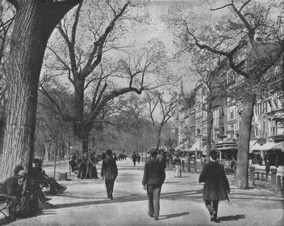 Tremont Street and The Common, Boston, USA by Unbekannt