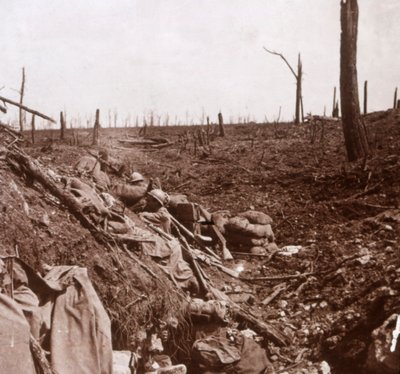 Trenches, Vaux, northern France by Unbekannt