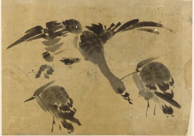 Two Herons and a Goose by Unbekannt