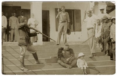 A tamed gorilla, c.1910 by Unbekannt