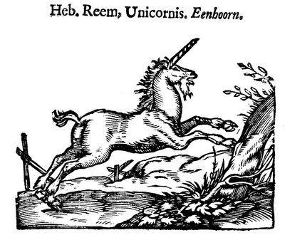 Unicorn by Unbekannt