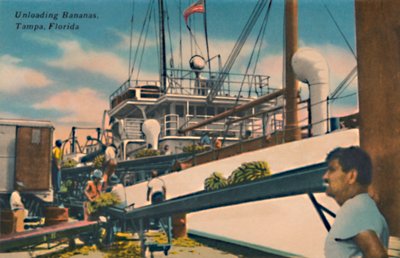 Unloading Bananas, Tampa, Florida by Unbekannt