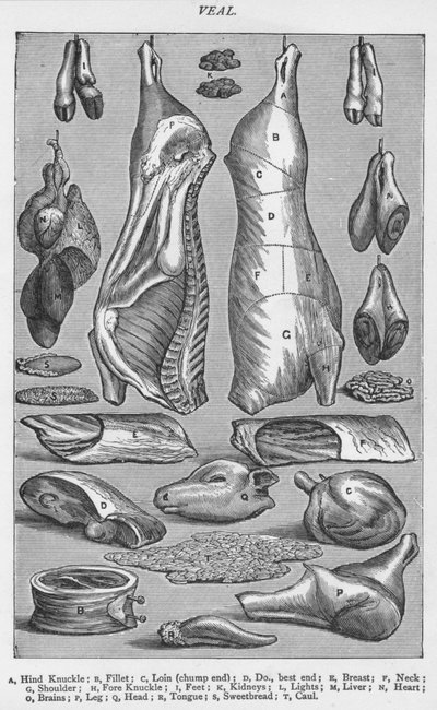 Veal, 1907 by Unbekannt