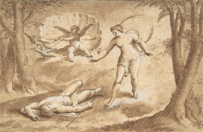 Venus Discovering the Death of Adonis, 17th Century by Unbekannt