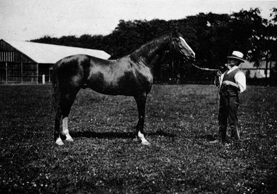 Victor Wild, 1911 by Unbekannt