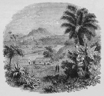 View in Cayenne by Unbekannt