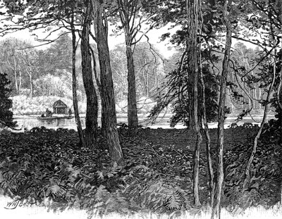 View in Claremont Park, Surrey by Unbekannt