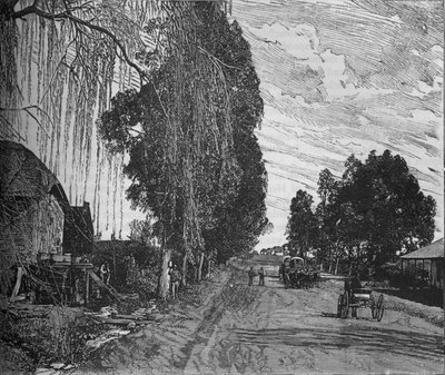 View near Pretoria by Unbekannt