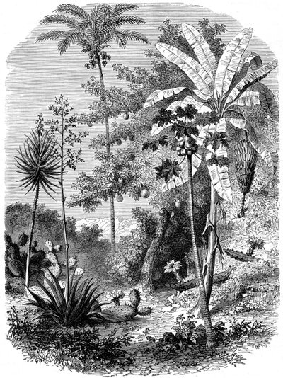 View of the Spanish Main, Guatemala by Unbekannt