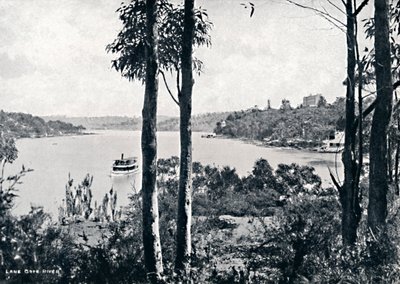 View on the Lane Cove River, c1900 by Unbekannt