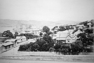 Wellington, New Zealand, 1875 by Unbekannt