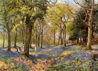 Wild Hyacinths in a Surrey Copse by Unbekannt
