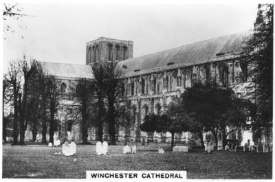 Winchester Cathedral, Hampshire by Unbekannt