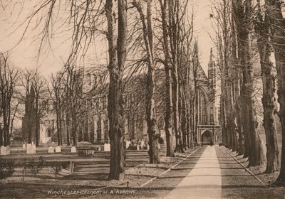 Winchester Cathedral and Avenue, Hampshire by Unbekannt