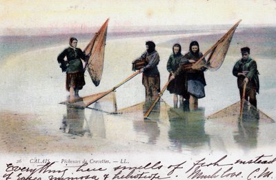 Women Shrimp Fishers, Calais, 1905 by Unbekannt