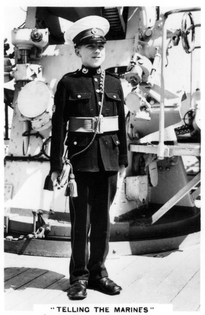 Young Bugler of the Royal Marines by Unbekannt