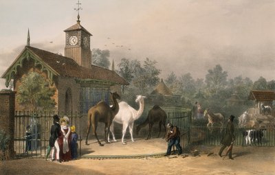 Zoological Gardens, Regent