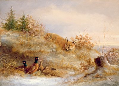 Fox and Pheasants in Winter by Unbekannt Unbekannt