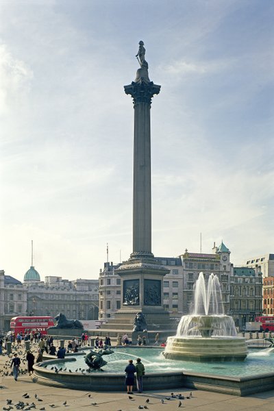 Nelson
