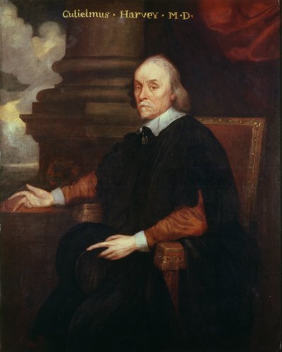 William Harvey (1578-1657) Royal Physician, 17th Century by Unbekannt Unbekannt