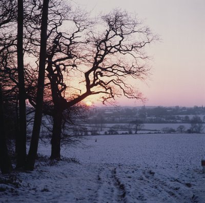 Winter Scene in the Snow, Hockley, Essex by Unbekannt Unbekannt