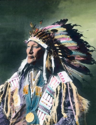 A Chief by Unbekannter Künstler