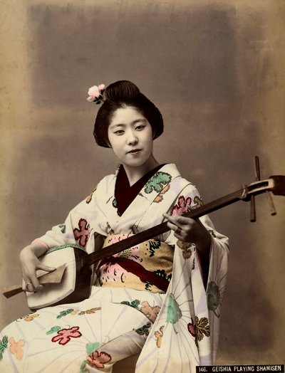 A geisha playing the shamisen by Unbekannter Künstler