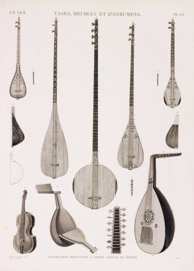 A Series of Illustrations of Musical Instruments by Unbekannt