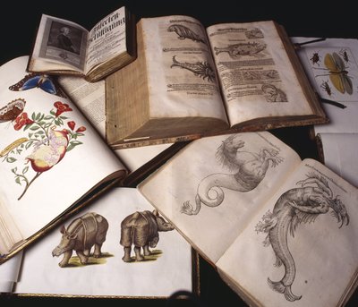 Ancient Zoology Books by Unbekannt