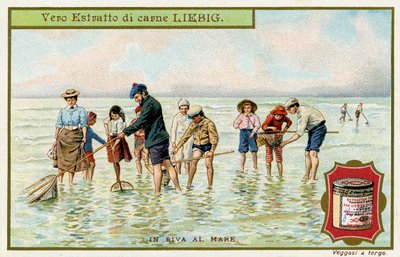 At the Seaside: Fishing with nets by Unbekannter Künstler
