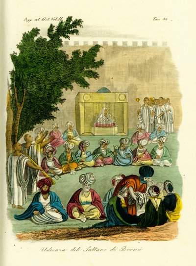 Audience with the Sultan of Bornu by Unbekannt