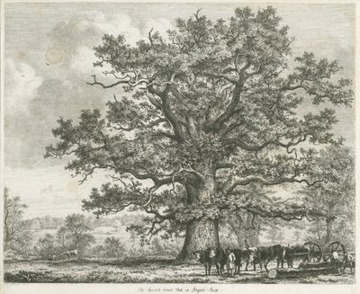 Blithfield - Squitch-bank Oak by Unbekannt