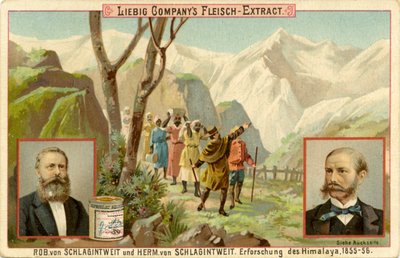 Exploration of the Himalayas by Unbekannter Künstler