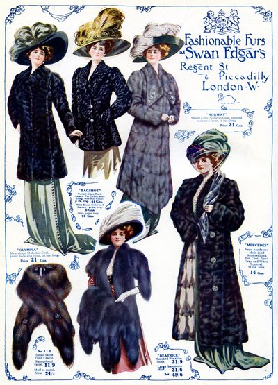 Fashion: 