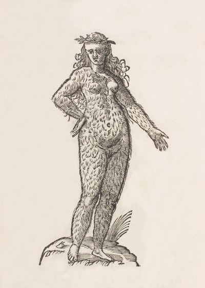 Woman of the Cinnamon Tribe by Unbekannt