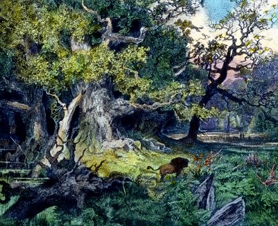 German Forest by Unbekannter Künstler