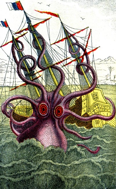 Giant squid by Unbekannter Künstler