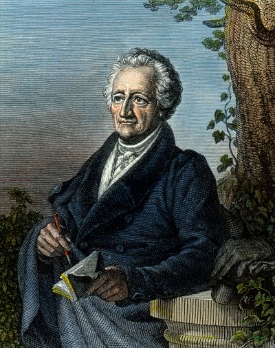 Goethe, Aged 83 by Unbekannter Künstler