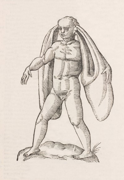 Homo fanesius auritus by Unbekannt
