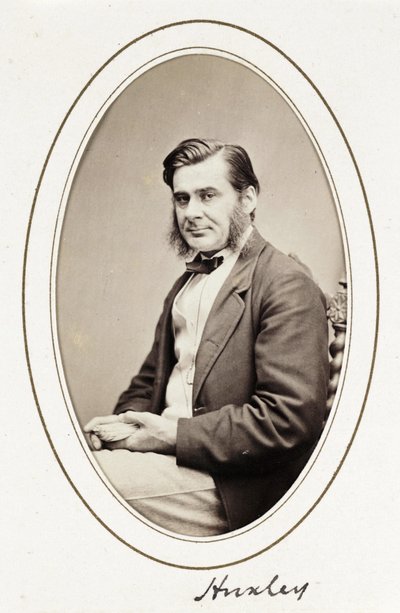 Huxley, c. 1865 by Unbekannt